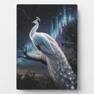 Schönes Weiß Pfau Aurora Borealis Landschaftlich Fotoplatte
