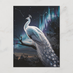 Schönes Weiß Pfau Aurora Borealis Landschaftlich Postkarte