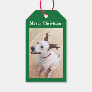 Schönes Weiß Rentier Welpe Hund Grün Weihnachten Geschenkanhänger