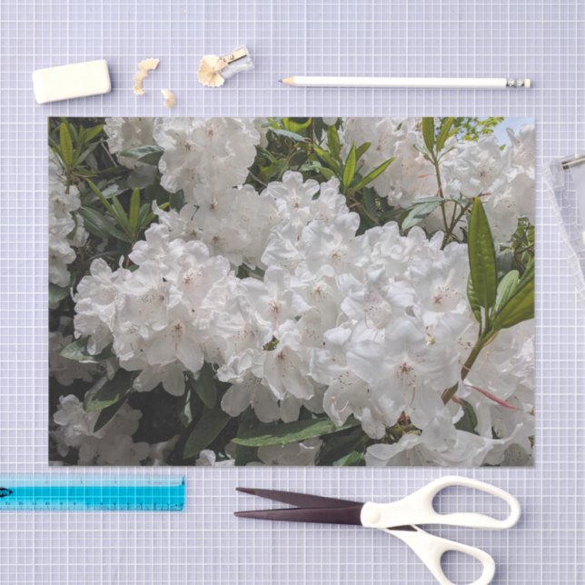 Schönes Weiß Rhododendron Blooms Bloral Seidenpapier (Handwerk)