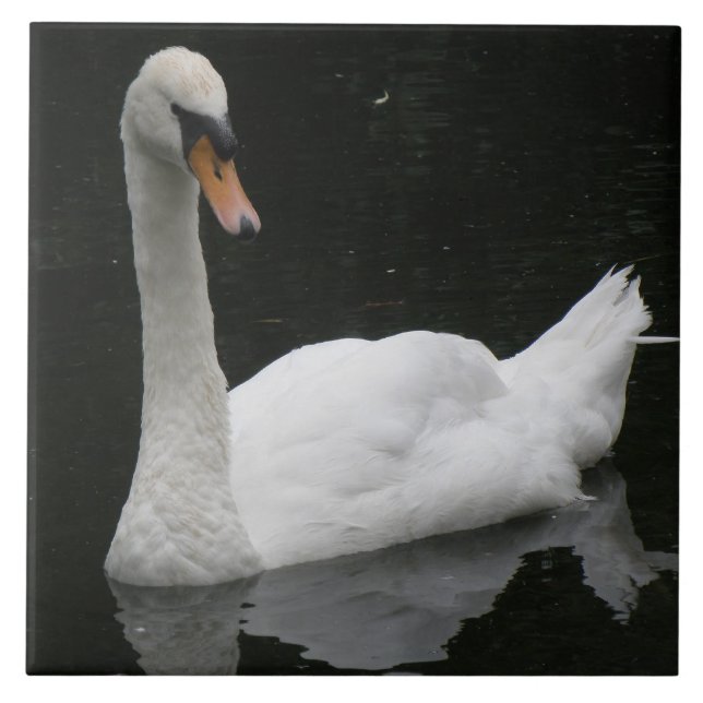Schönes Weiß Schwan Tile Fliese (Vorderseite)