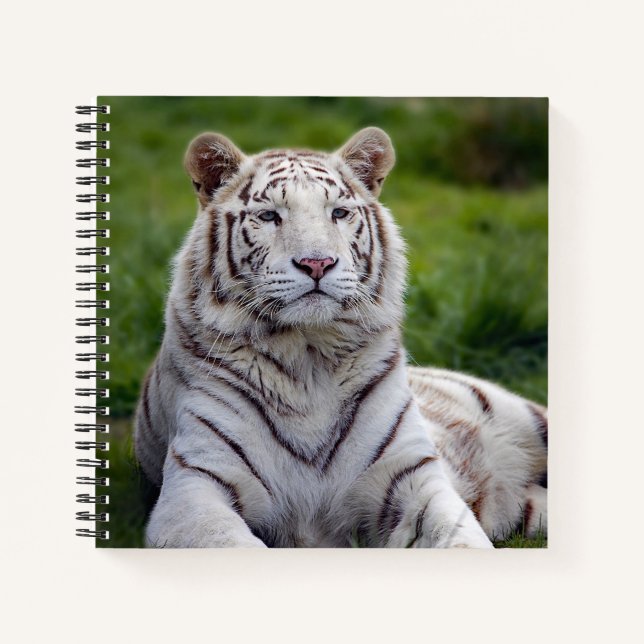 Schönes Weiß-Tiger-Foto Notizbuch (Vorderseite)