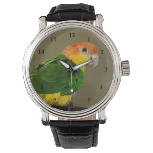 Schönes weißes Bündchen Kaique Parrot Posing Armbanduhr