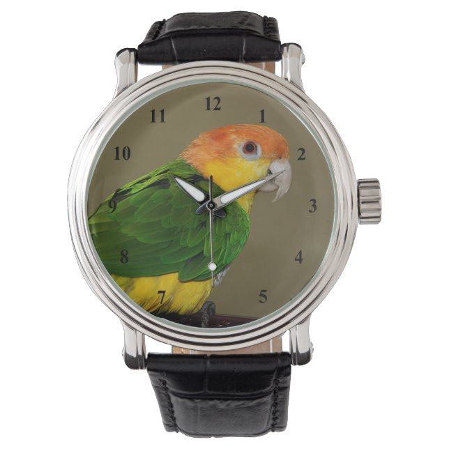 Schönes weißes Bündchen Kaique Parrot Posing Armbanduhr (Vorderseite)