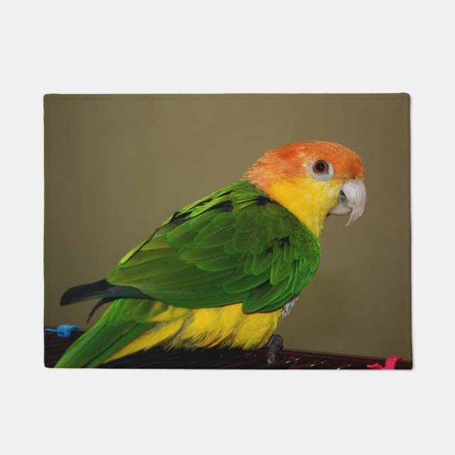 Schönes weißes Bündchen Kaique Parrot Posing Fußmatte (Vorderseite)