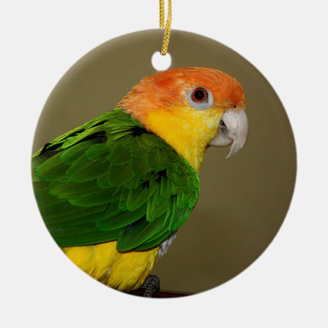 Schönes weißes Bündchen Kaique Parrot Posing Keramik Ornament (Vorne)