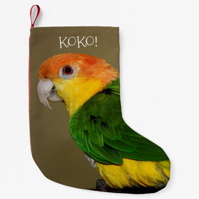 Schönes weißes Bündchen Kaique Parrot Posing Kleiner Weihnachtsstrumpf (Vorderseite)