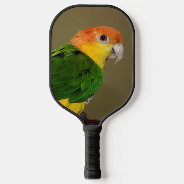Schönes weißes Bündchen Kaique Parrot Posing Pickleball Schläger (Vorderseite)
