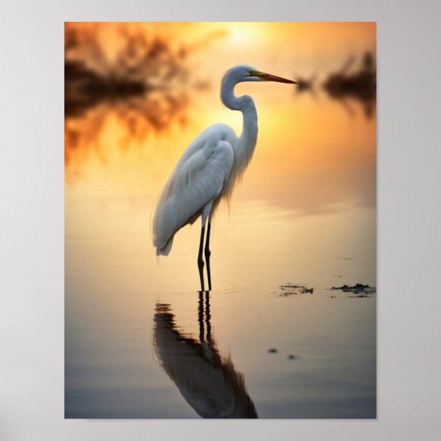 Schönes weißes Egret allein bei Morgendämmerung Poster (Vorne)
