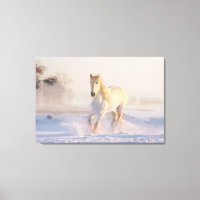 Schönes Weißes Pferd Galloping im Schnee