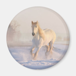 Schönes Weißes Pferd Galloping im Schnee Magnet