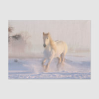 Schönes Weißes Pferd Galloping im Schnee