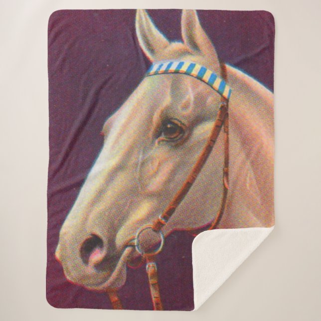 schönes weißes Pferd Sherpadecke (Vorderseite)