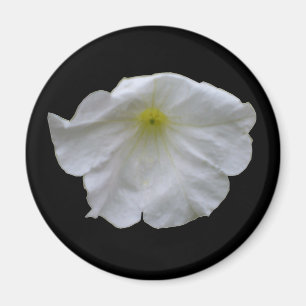 Schönes White Petunia Magnet