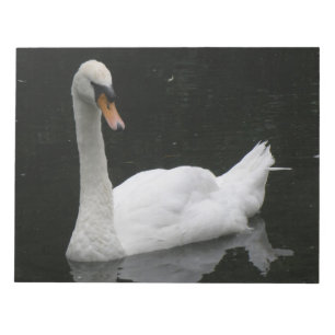 Schönes White Swan Notepad Notizblock