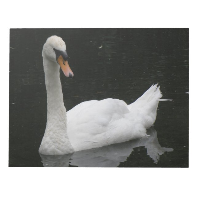 Schönes White Swan Notepad Notizblock (Vorderseite)