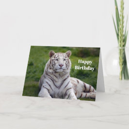 Schönes White Tiger Foto Geburtstag Karte