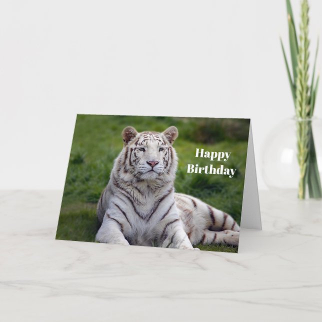 Schönes White Tiger Foto Geburtstag Karte (Vorderseite)