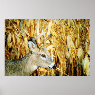 Schönes Whitetail Deer Buck Aquarellmalerei Poster