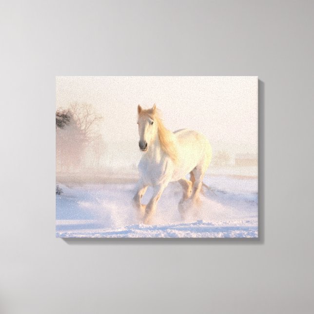 Schönes Winterweiße Pferd Leinwanddruck (Vorderseite)