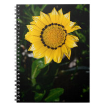 Schönes Yellow Blume Notebook