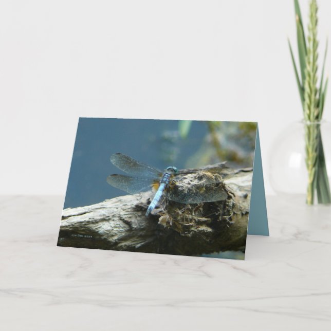 Schönheit bleibt karte (Vorderseite)