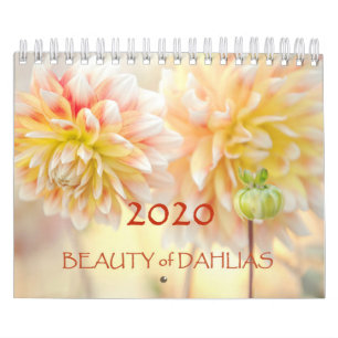 Schönheit der Dahlias-Blume 2020 Kalender