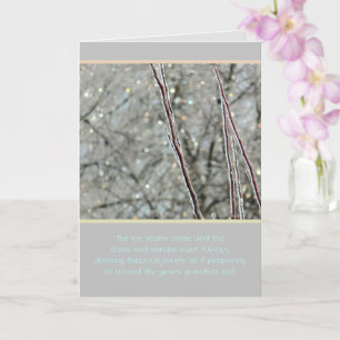 SCHÖNHEIT DER EISSTORME/GLITZERN WIE FARBENFÄLLE KARTE