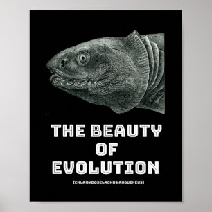 Schönheit der Evolution Poster