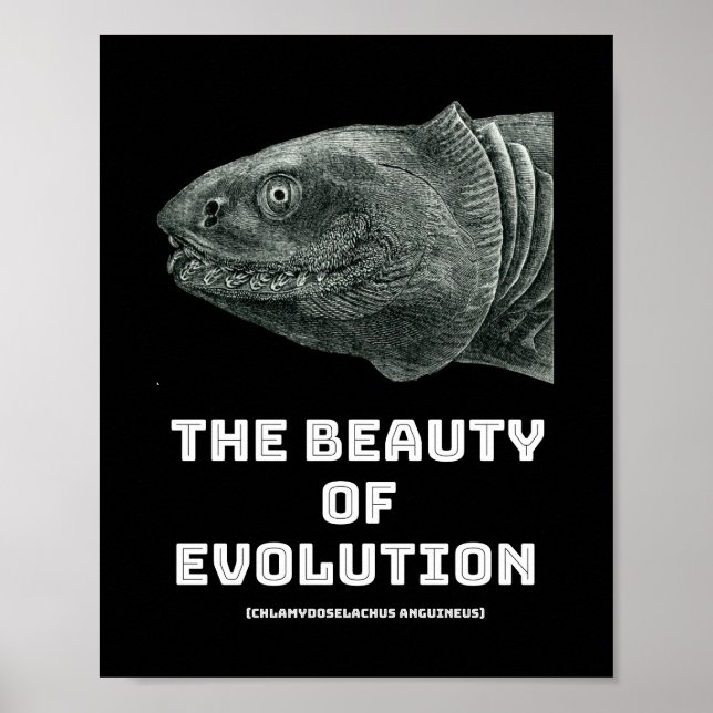 Schönheit der Evolution Poster (Vorne)
