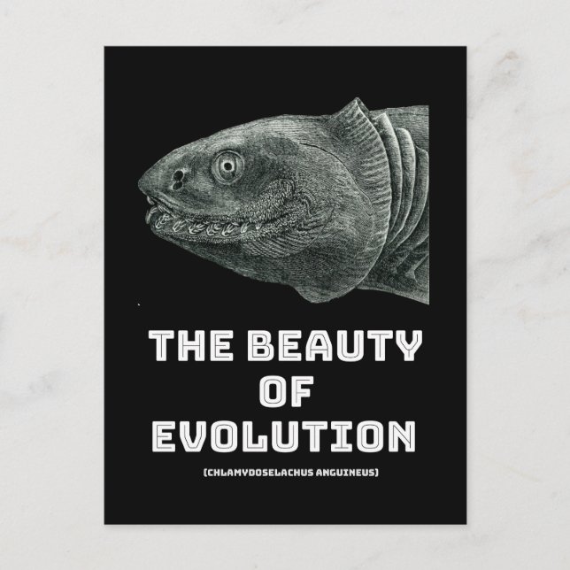 Schönheit der Evolution Postkarte (Vorderseite)