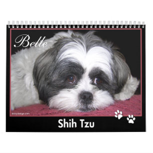 Schönheit der Kalender Shih Tzu