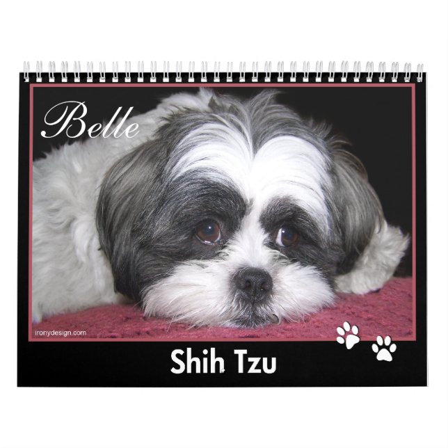 Schönheit der Kalender Shih Tzu (Titelbild)