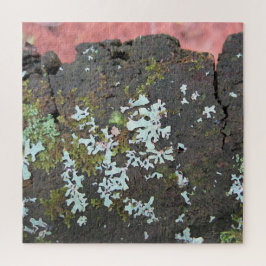 Schönheit der Natur Baumstumpf Entspannung Selbstv Puzzle