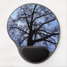 Schönheit der Natur