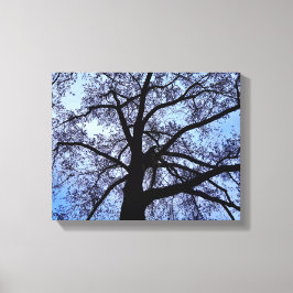 Schönheit der Natur Leinwanddruck