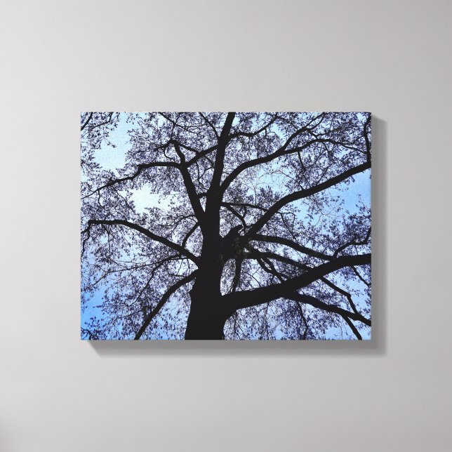 Schönheit der Natur Leinwanddruck (Vorderseite)