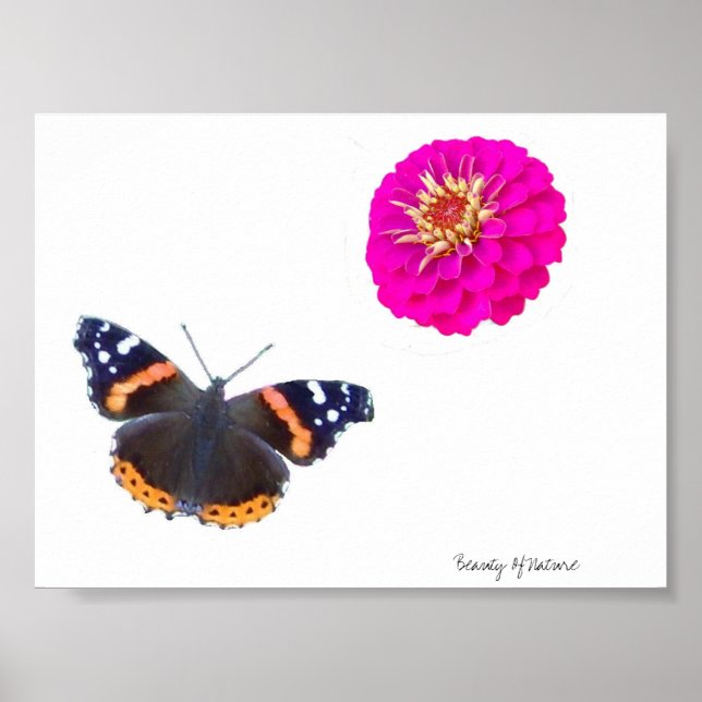 Schönheit der Natur Poster (Vorne)