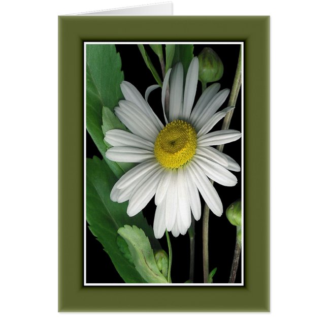 Schönheit der Natur r/c17 (Vorne)