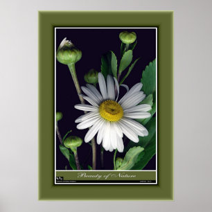 Schönheit der Natur r/p12 Poster