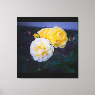 Schönheit der Rose Leinwanddruck