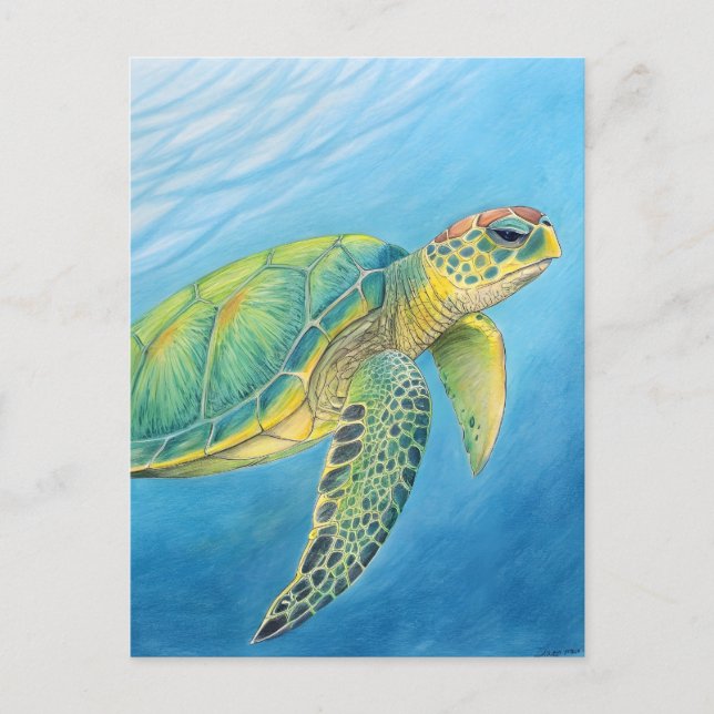 Schönheit der Schildkröte Postkarte (Vorderseite)