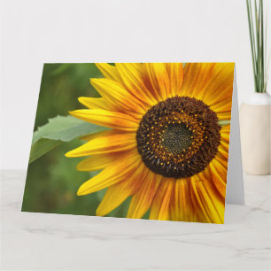 Schönheit der Sonnenblumen Karte