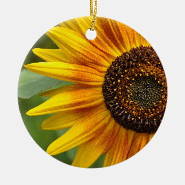 Schönheit der Sonnenblumen Keramik Ornament (Vorne)