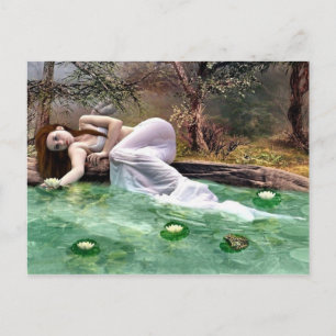 Schönheit der Wasserlilie Postkarte