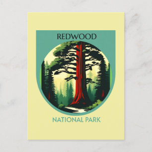 Schönheit des Redwood-Nationalparks in Kalifornien Postkarte