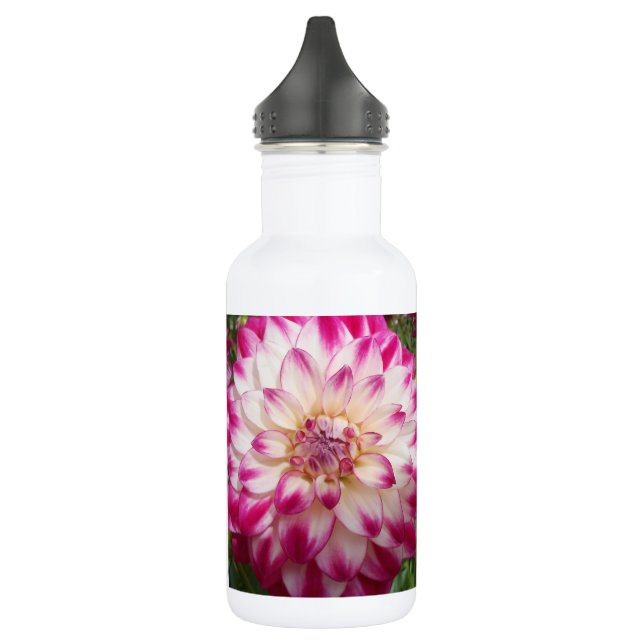 Schönheit Edelstahlflasche (Links)