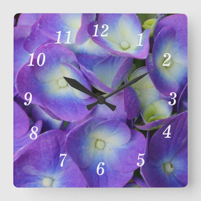 Schönheit einer blauen Hydrangea-Wall-Uhr Quadratische Wanduhr (Vorderseite)