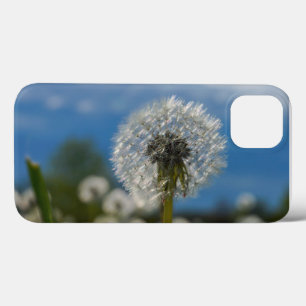 Schönheit eines Löwenzahns Case-Mate iPhone Hülle