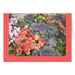 Schönheit im Herbst